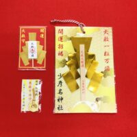 天赦大金幣